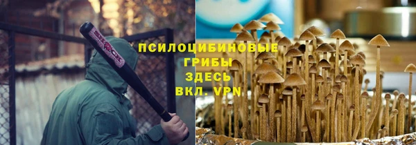 каннабис Баксан