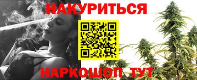 прущие грибы Бердск