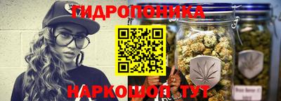 сатива Белореченск