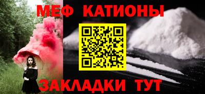 прущие грибы Бердск