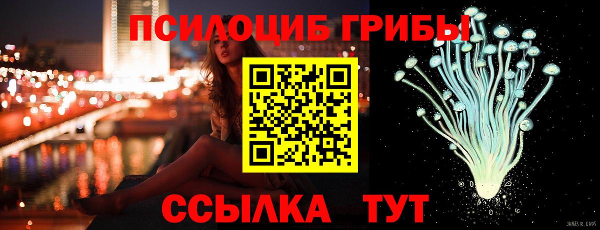 Белогорск  Псилоцибиновые грибы GOLDEN TEACHER  цены   Вход с VPN 